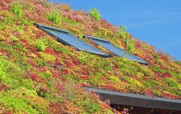 Bowlish living roof systems